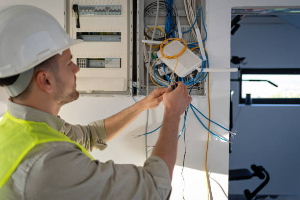 Best Electrical System Inspection  in Vicksburg, MI