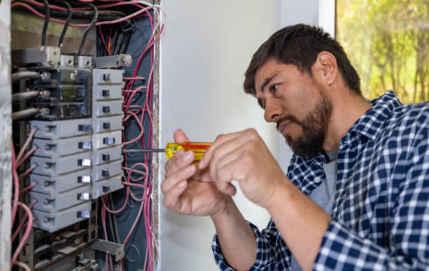 Best Electrical Upgrades for Homes  in Vicksburg, MI